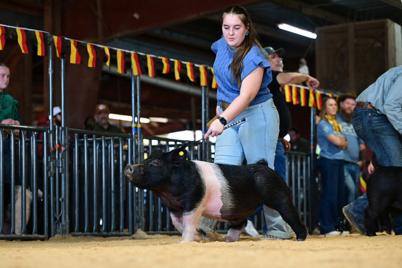 25GTT- RingAHamps-8360.jpg