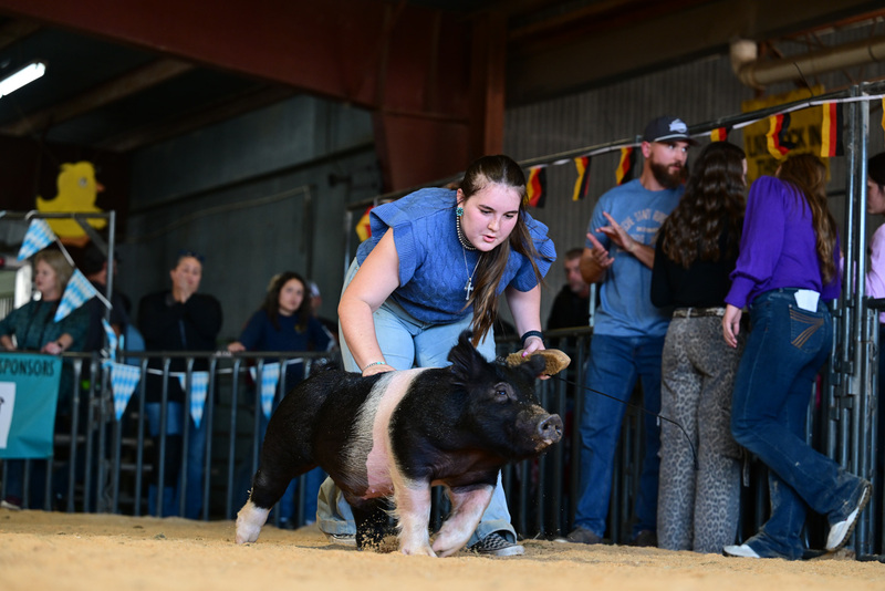 25GTT- RingAHamps-8362.jpg