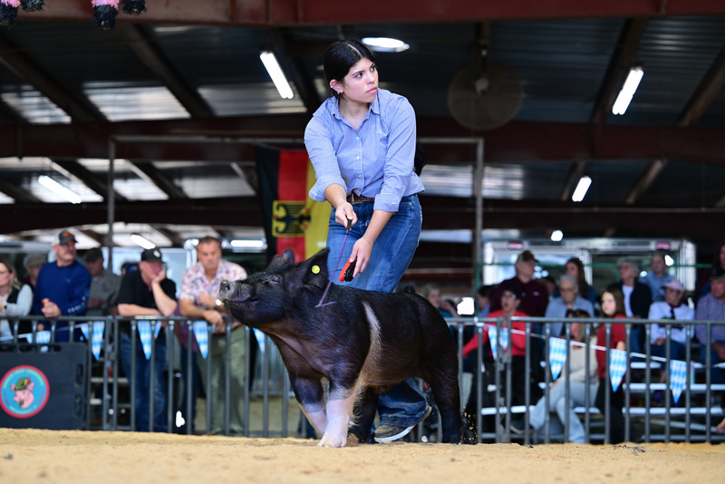 25GTT- RingAHamps-8364.jpg