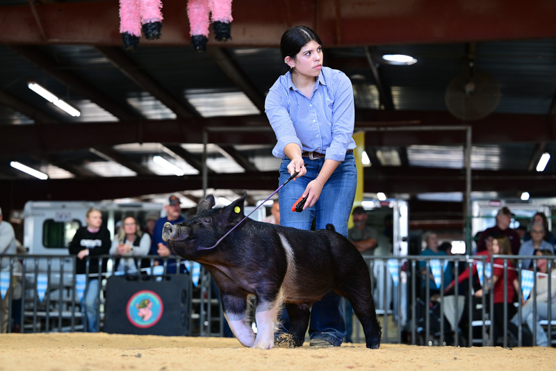 25GTT- RingAHamps-8365.jpg