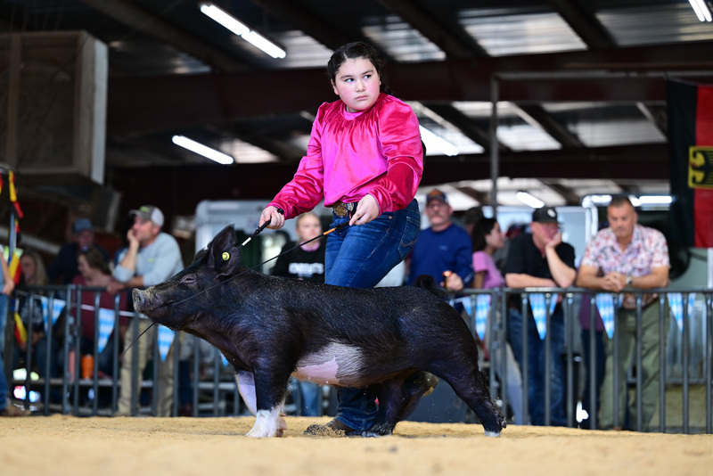 25GTT- RingAHamps-8368.jpg