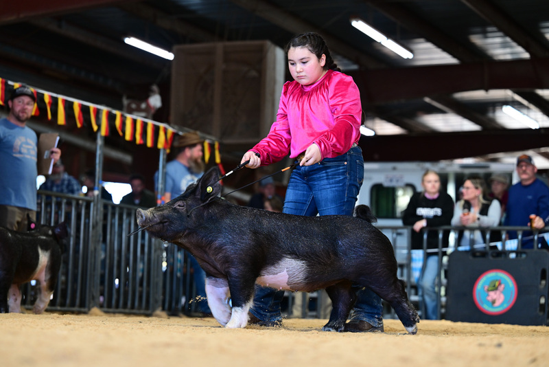 25GTT- RingAHamps-8369.jpg