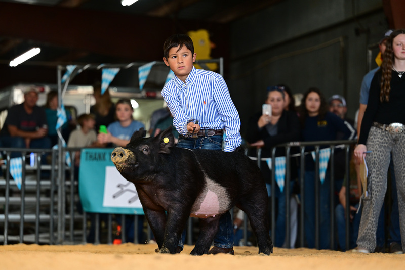 25GTT- RingAHamps-8371.jpg