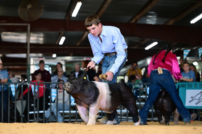 25GTT- RingAHamps-8372.jpg