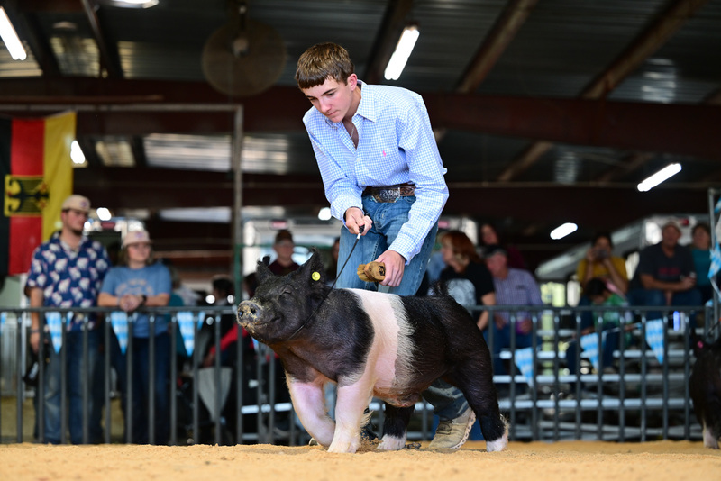 25GTT- RingAHamps-8373.jpg