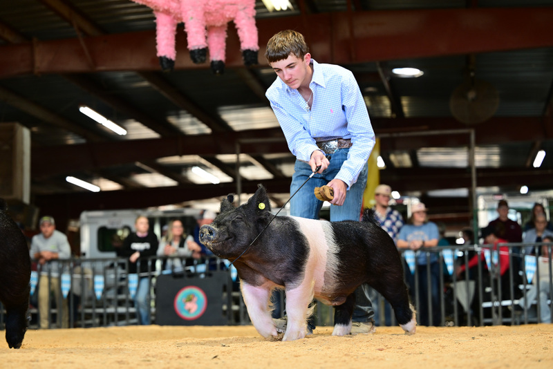 25GTT- RingAHamps-8376.jpg