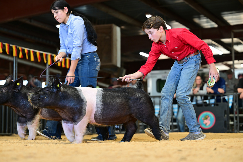 25GTT- RingAHamps-8379.jpg