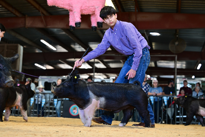 25GTT- RingAHamps-8383.jpg