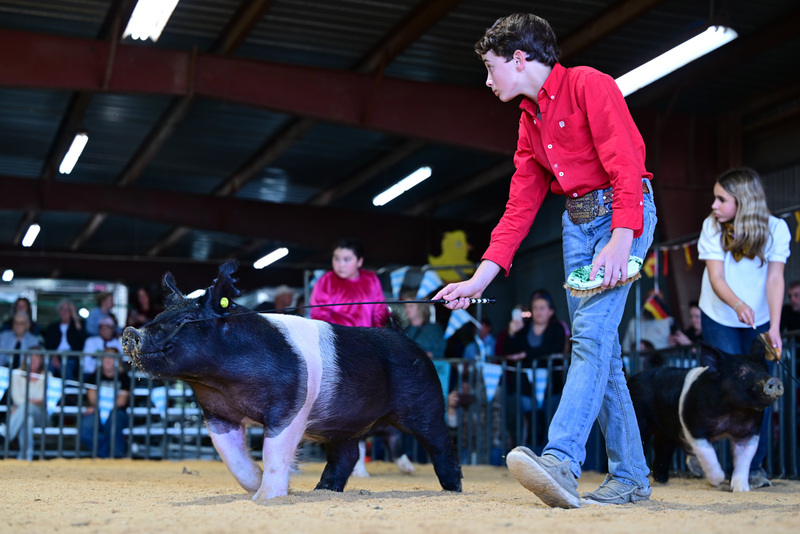 25GTT- RingAHamps-8386.jpg