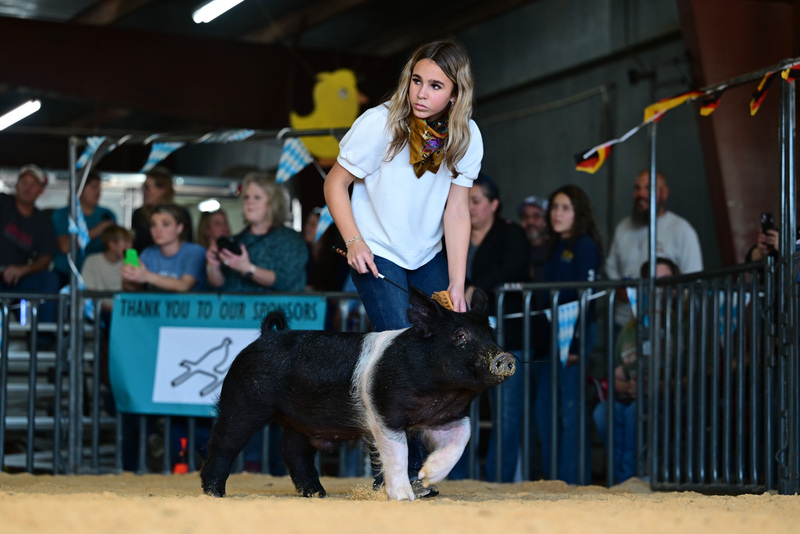 25GTT- RingAHamps-8389.jpg