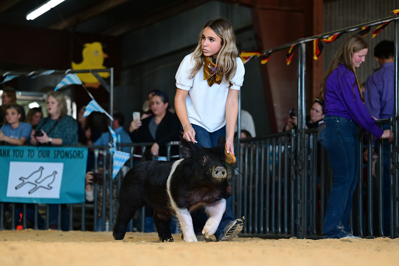 25GTT- RingAHamps-8390.jpg