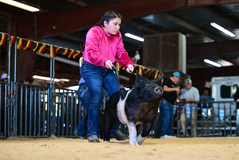 25GTT- RingAHamps-8394.jpg