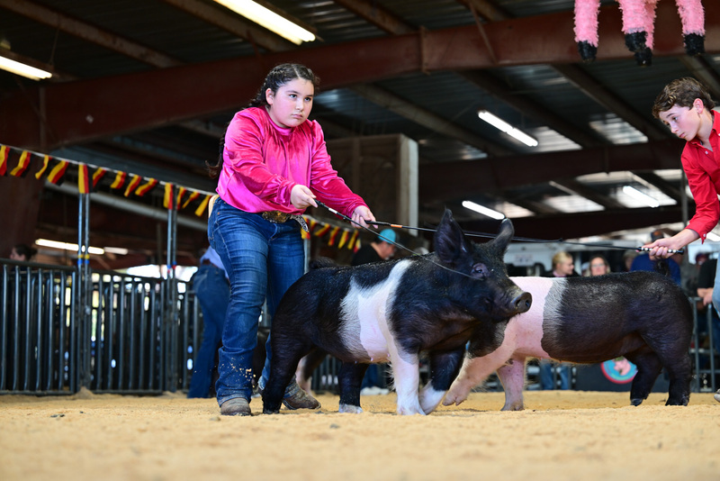 25GTT- RingAHamps-8395.jpg