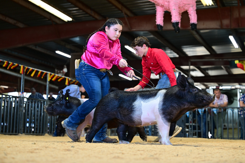 25GTT- RingAHamps-8396.jpg