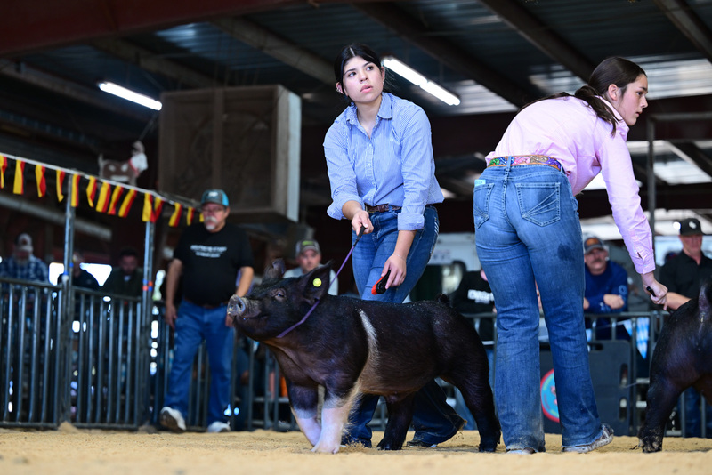 25GTT- RingAHamps-8398.jpg