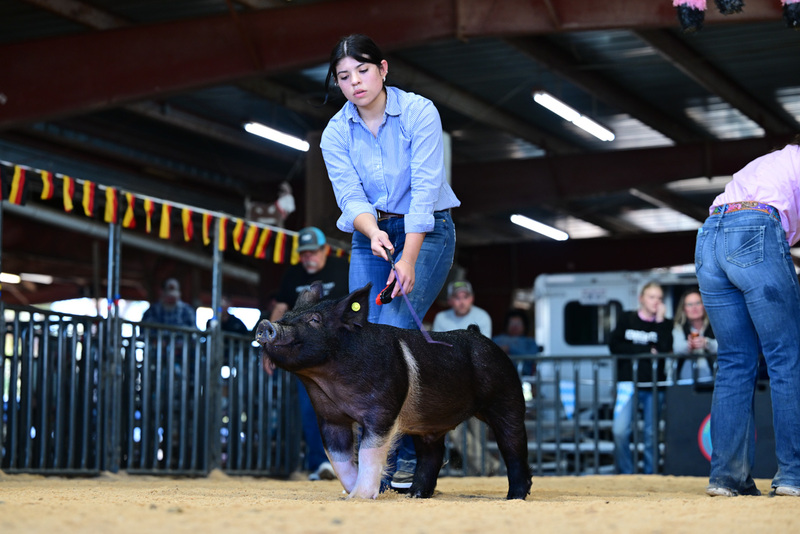 25GTT- RingAHamps-8399.jpg