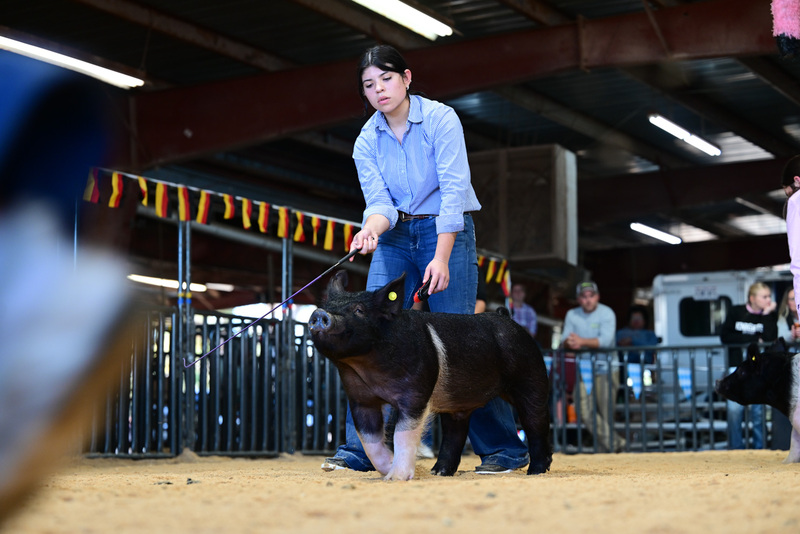 25GTT- RingAHamps-8400.jpg