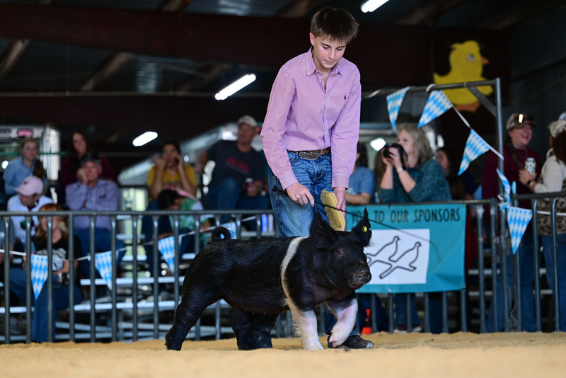 25GTT- RingAHamps-8401.jpg