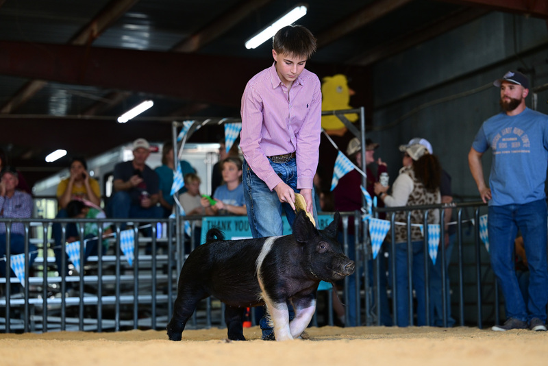 25GTT- RingAHamps-8402.jpg