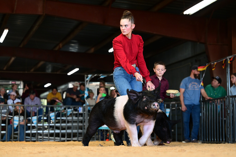 25GTT- RingAHamps-8409.jpg