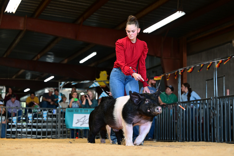 25GTT- RingAHamps-8410.jpg