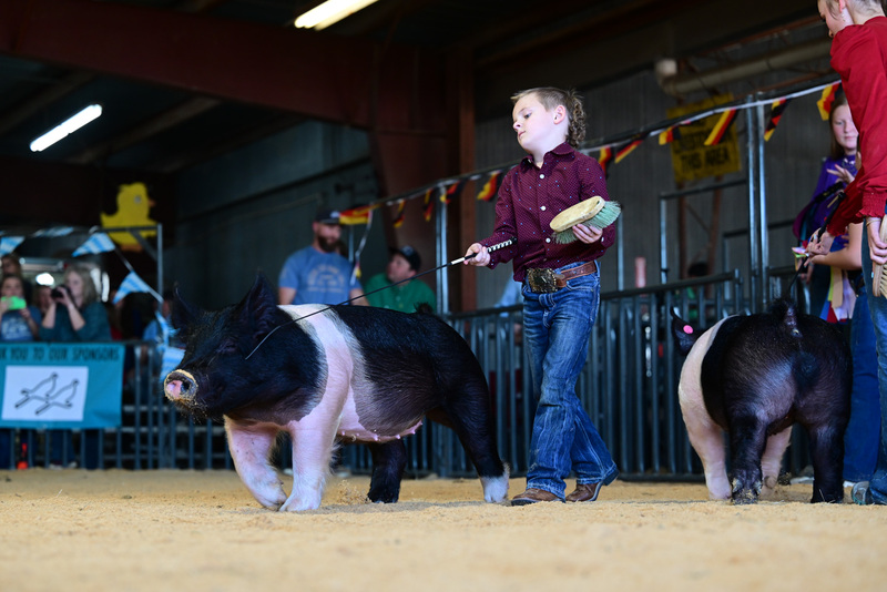 25GTT- RingAHamps-8411.jpg