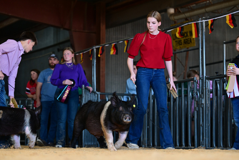 25GTT- RingAHamps-8413.jpg