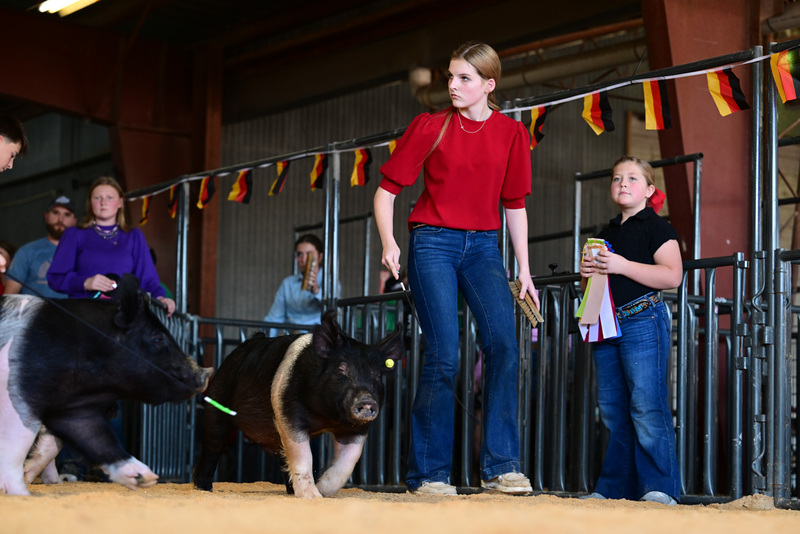 25GTT- RingAHamps-8414.jpg