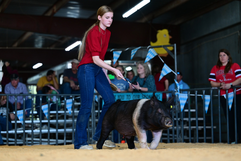 25GTT- RingAHamps-8415.jpg