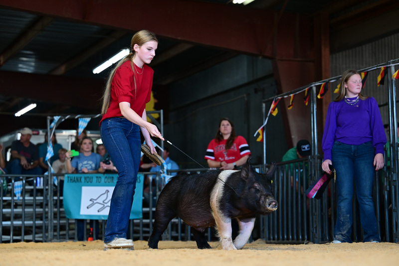 25GTT- RingAHamps-8417.jpg