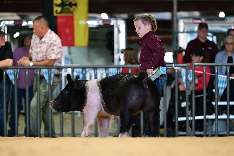 25GTT- RingAHamps-8418.jpg