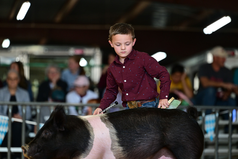 25GTT- RingAHamps-8419.jpg