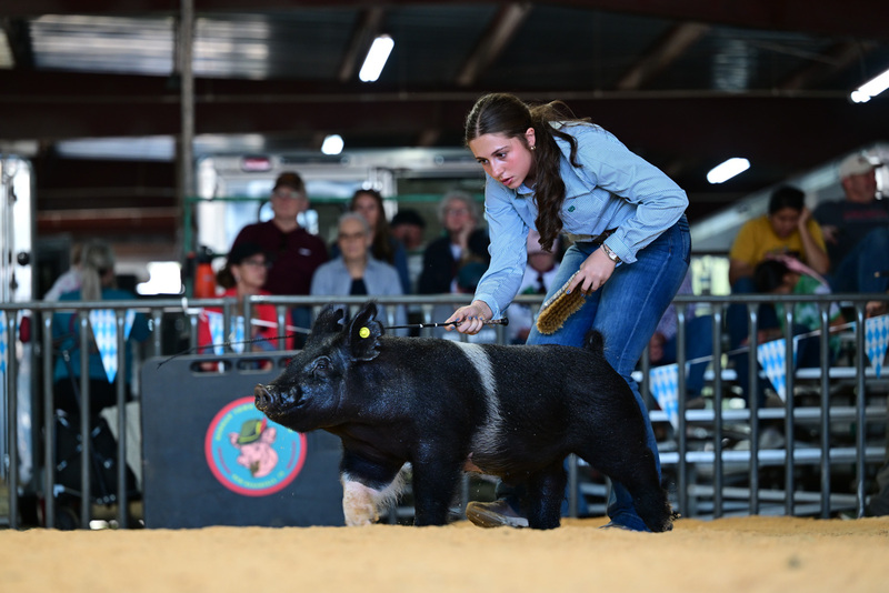 25GTT- RingAHamps-8421.jpg