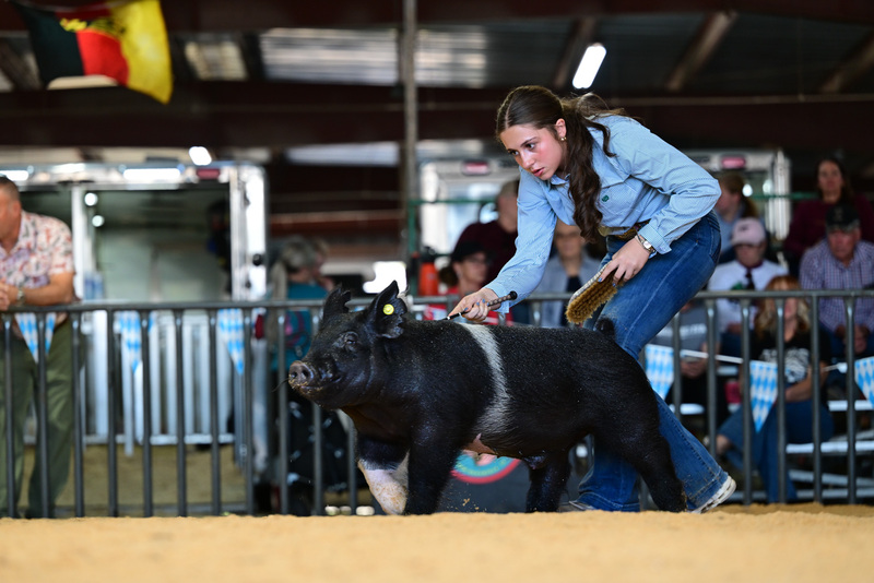 25GTT- RingAHamps-8422.jpg