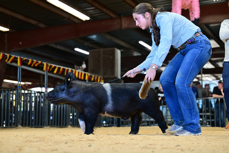 25GTT- RingAHamps-8425.jpg