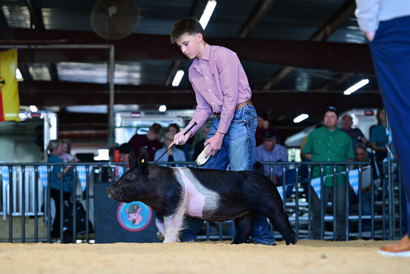 25GTT- RingAHamps-8429.jpg