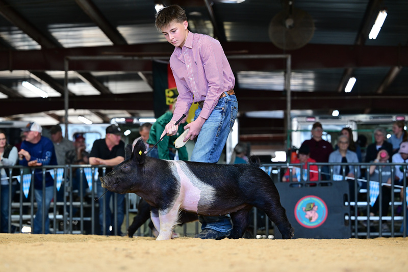 25GTT- RingAHamps-8431.jpg