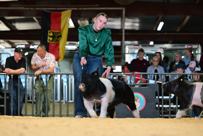 25GTT- RingAHamps-8434.jpg