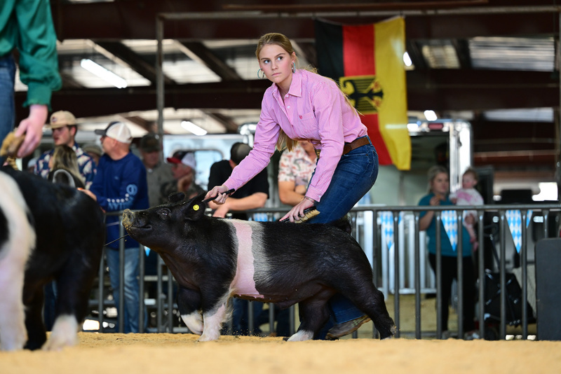 25GTT- RingAHamps-8437.jpg