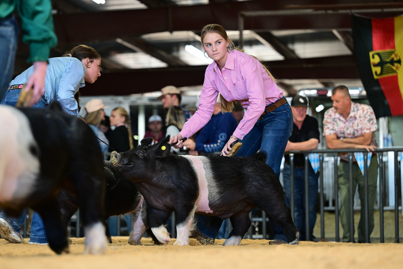 25GTT- RingAHamps-8438.jpg