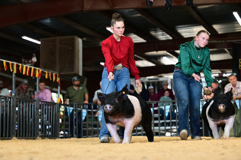 25GTT- RingAHamps-8440.jpg