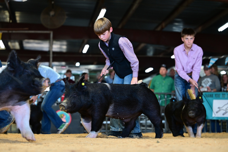 25GTT- RingAHamps-8441.jpg