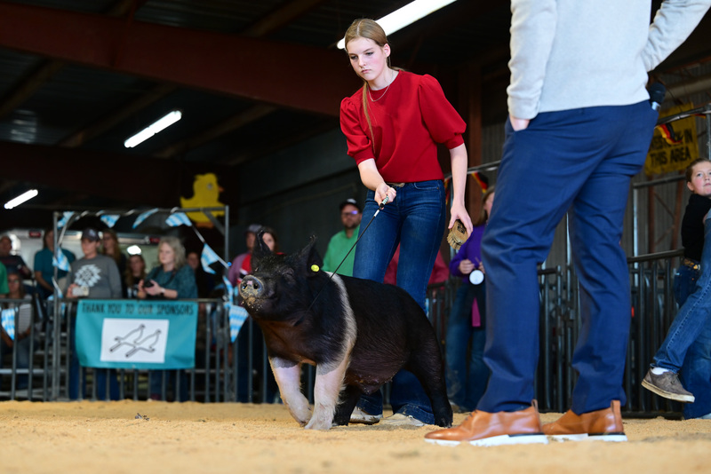 25GTT- RingAHamps-8442.jpg