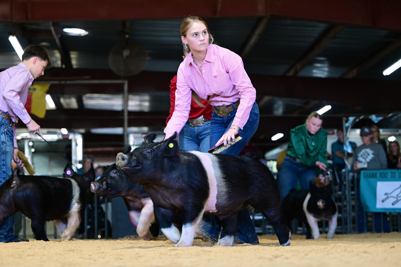 25GTT- RingAHamps-8444.jpg