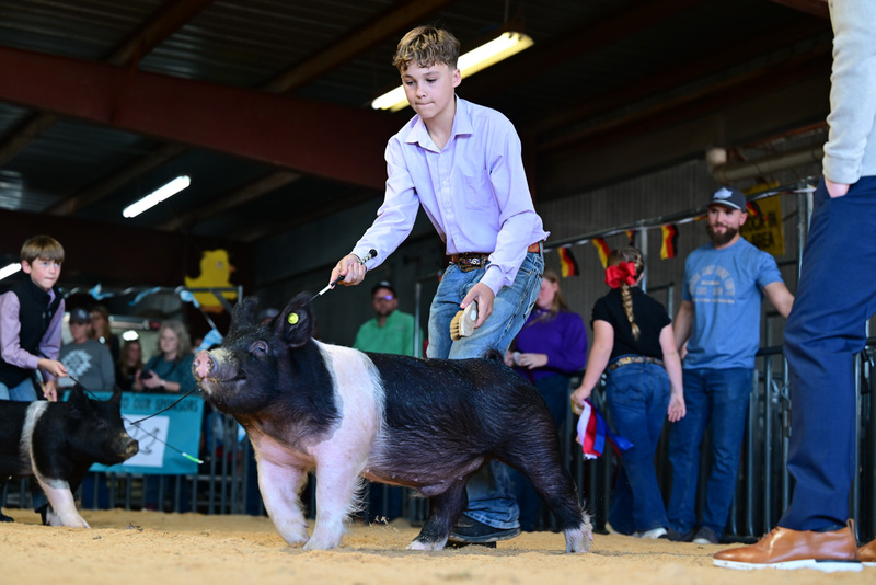 25GTT- RingAHamps-8445.jpg