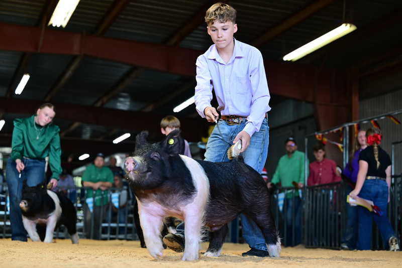 25GTT- RingAHamps-8446.jpg