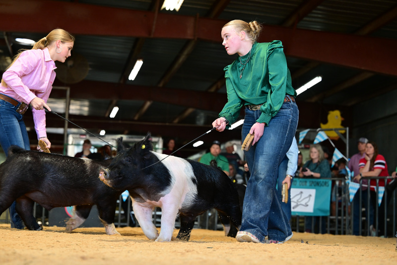 25GTT- RingAHamps-8449.jpg