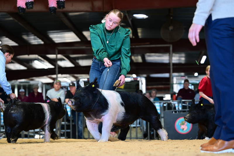 25GTT- RingAHamps-8450.jpg