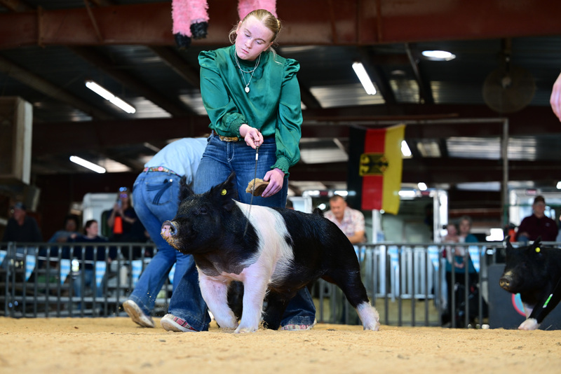 25GTT- RingAHamps-8451.jpg