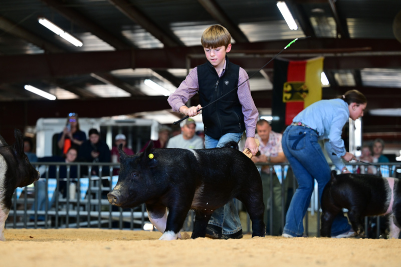 25GTT- RingAHamps-8453.jpg